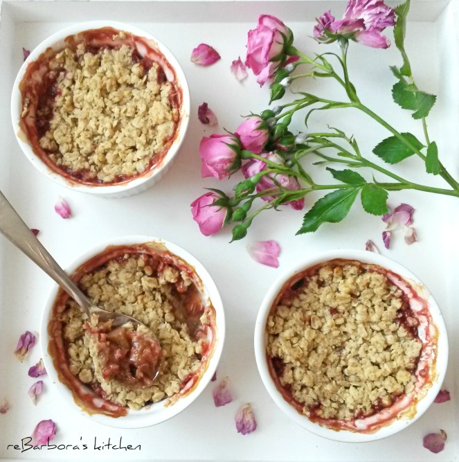 Crumble s rebarborou, jahodami a meruňkami | reBarbora's kitchen