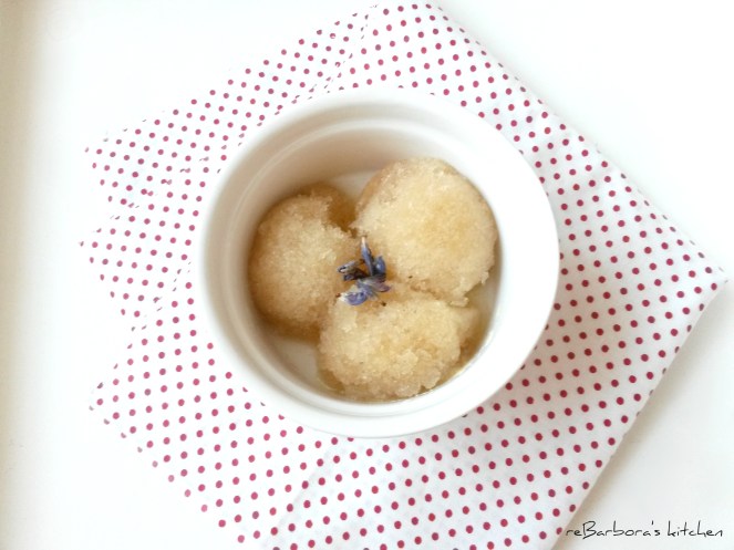 Rebarborový sorbet se zázvorem | reBarbora's kitchen