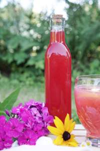 Rybízový sirup | reBarbora's kitchen