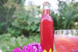 Rybízový sirup | reBarbora's kitchen