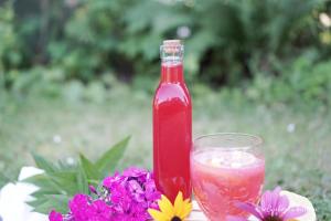 Rybízový sirup | reBarbora's kitchen