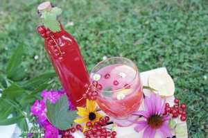 Rybízový sirup | reBarbora's kitchen