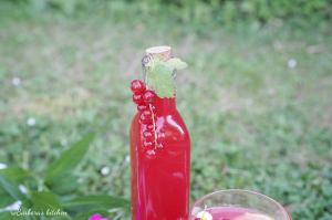 Rybízový sirup | reBarbora's kitchen
