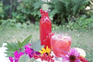 Rybízový sirup | reBarbora's kitchen