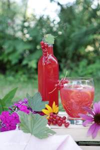 Rybízový sirup | reBarbora's kitchen