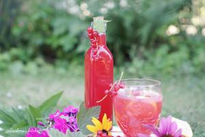 Rybízový sirup | reBarbora's kitchen