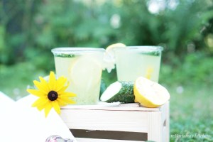 Okurková limonáda | reBarbora's kitchen