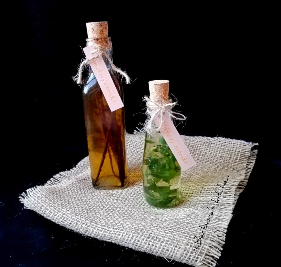 Domácí extrakt - vanilkový a mátový | reBarbora's kitchen