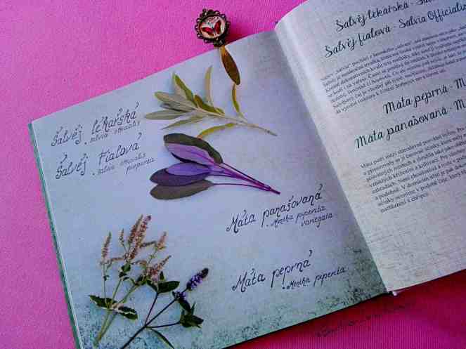 Recenze knih: Dobrá sezóna na jaře | reBarbora's kitchen