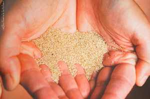 Recenze knih: Kváskové pečení | reBarbora's kitchen