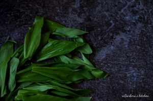 O medvědím česneku & medvědí máslo | reBarbora's kitchen