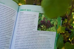 Recenze knih: Bylinky české zahrádky | reBarbora's kitchen