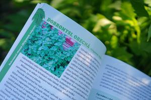 Recenze knih: Bylinky české zahrádky | reBarbora's kitchen
