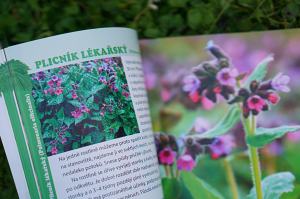 Recenze knih: Bylinky české zahrádky | reBarbora's kitchen