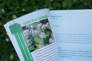 Recenze knih: Bylinky české zahrádky | reBarbora's kitchen