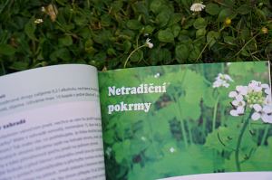 Recenze knih: Bylinky české zahrádky | reBarbora's kitchen