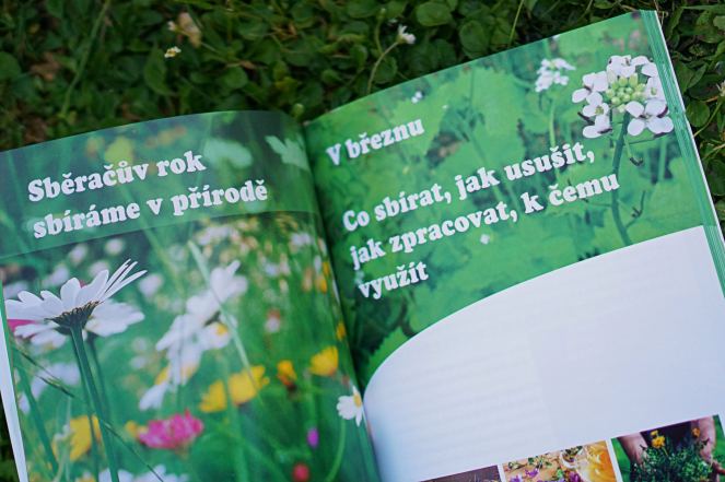Recenze knih: Bylinky české zahrádky | reBarbora's kitchen
