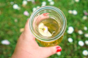 Sedmikráskový sirup | reBarbora's kitchen