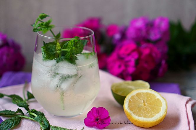 Prosecco Hugo - osvěžující letní koktejl | reBarbora's kitchen