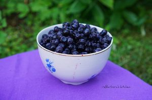 Borůvkový koláč s mandlovou drobenkou | reBarbora's kitchen