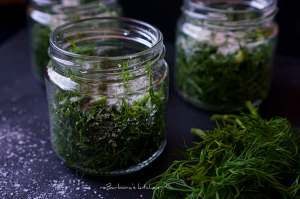 Jak si uchovat kopr | reBarbora's kitchen