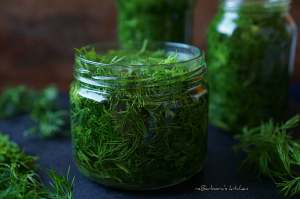 Jak si uchovat kopr | reBarbora's kitchen