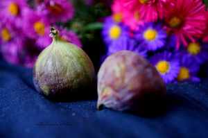 Fíkový koláč se smetanovým krémem a oříšky | reBarbora's kitchen