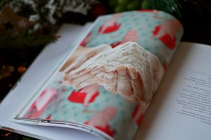 Recenze knih: Můj život bez lepku - Monika Menky | reBarbora's kitchen