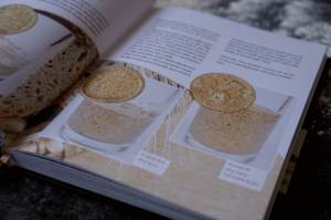 Recenze knih: Ruce v mouce - Iva Trhoňová | reBarbora's kitchen