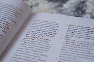 Recenze knih: Ruce v mouce - Iva Trhoňová | reBarbora's kitchen