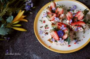 Mini pavlova s jahodami, bazalkovým cukrem a balzamikem | reBarbora's kitchen