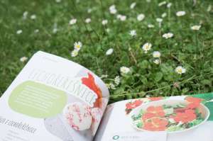 Recenze knih - Moje zahradní kuchařka | reBarbora's kitchen