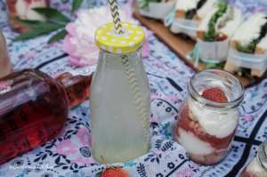 Tipy na piknik s Porto cruz pink | reBarbora's kitchen