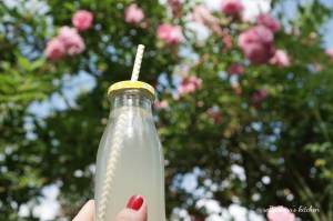 Tipy na piknik s Porto cruz pink | reBarbora's kitchen