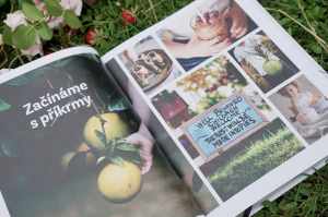 Recenze knih: Cukrfree kuchařka pro malé i velké - J. Černá/J. Dell Plotnárková | reBarbora's kitchen