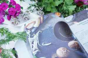 Recenze knih: Víc než jen Vietnamská kuchařka – Long Tran & Thuy Nguyen | reBarbora's kitchen