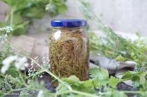 Zavařování (nejen) zeleniny aneb jak naložit s octem | reBarbora's kitchen