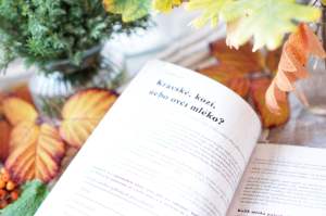 Recenze knih: Domácí sýry - Petra Rubášová | reBarbora's kitchen