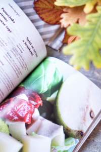 Recenze knih: Domácí sýry - Petra Rubášová | reBarbora's kitchen