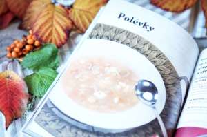 Recenze knih: Domácí sýry - Petra Rubášová | reBarbora's kitchen