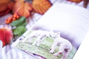 Recenze knih: Domácí sýry - Petra Rubášová | reBarbora's kitchen